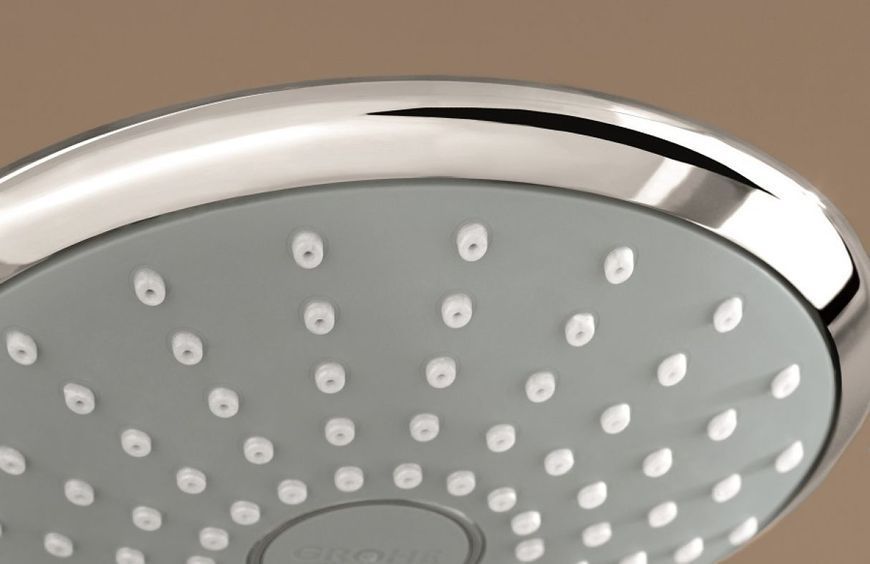 Grohe Euphoria 110 Mono Ручной душ, 1 вид струи (27265000) 27265000 фото