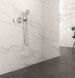 Grohe Rainshower Підключення душового шлангу з тримачем (26659000) 26659000 фото 6