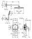 Grohe Essence Прихована душова система з Rainshower Mono 310 (25287GL0) 25287GL0 фото 4