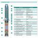 Насос свердловинний SHIMGE 3.5SE(m) 2/26T-1.5 кВт, Н 137(95)м, Q 75(40)л/хв, &Oslash;89 мм, (кабель 3 м) 1042375 фото 4