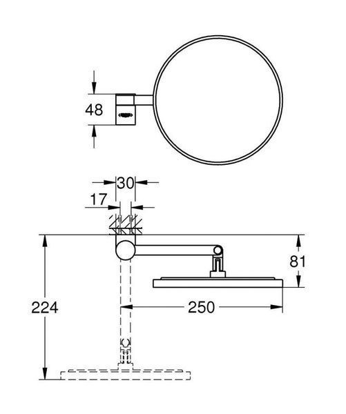Grohe Selection Зеркало косметическое (41077GN0) 41077GN0 фото