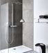 Grohe Selection Поличка для душу, кутова, з тримачем (41038000) 41038000 фото 3