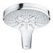 Grohe Rainshower Smartactive 310 Душова система з термостатом для настінного монтажу (26647000) 26647000 фото 4